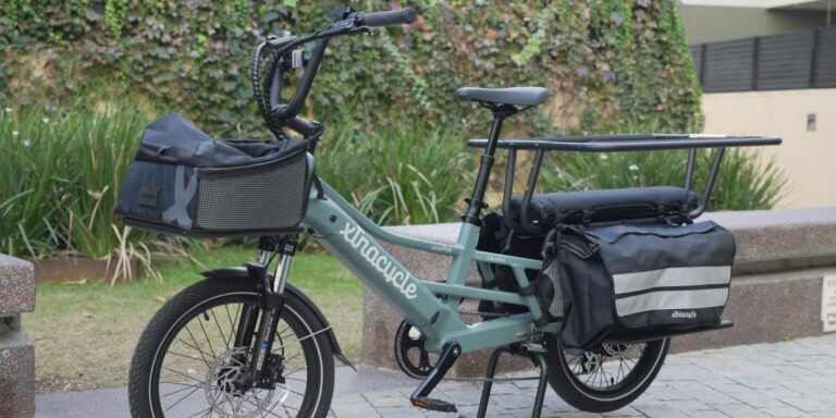 This family of four put 1,000 km on a cargo e-bike instead of buying a second car